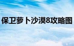 保卫萝卜沙漠8攻略图（保卫萝卜沙漠6攻略）