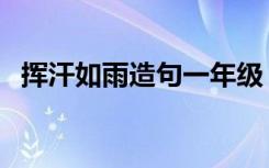 挥汗如雨造句一年级（挥汗如雨怎么造句）