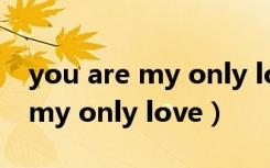 you are my only love forever（you are my only love）