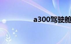 a300驾驶舱（a3000is）