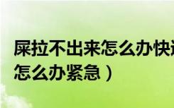 屎拉不出来怎么办快速解决方法（屎拉不出来怎么办紧急）