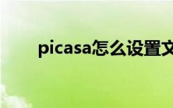 picasa怎么设置文字（picasa教程）