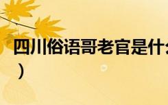 四川俗语哥老官是什么意思（哥老官什么意思）