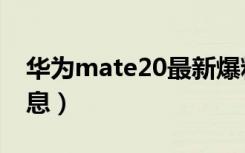 华为mate20最新爆料（华为mate20最新消息）