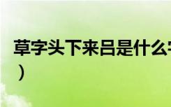 草字头下来吕是什么字（草字头加吕是什么字）