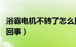 浴霸电机不转了怎么回事（浴霸电机不转怎么回事）