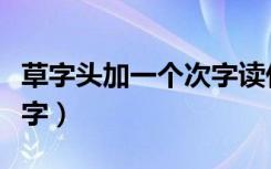 草字头加一个次字读什么（草字头加次是什么字）