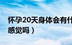 怀孕20天身体会有什么感觉吗（怀孕20天有感觉吗）