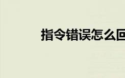 指令错误怎么回事（指令错误）