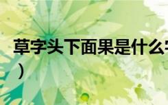 草字头下面果是什么字（草字头加果是什么字）