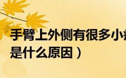 手臂上外侧有很多小疙瘩（手臂外侧长小疙瘩是什么原因）