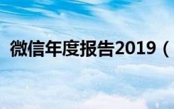 微信年度报告2019（微信年度报告怎么看）