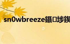 sn0wbreeze鑷埗鍥轰欢（sn0wbreeze）