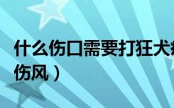 什么伤口需要打狂犬疫苗（什么伤口需要打破伤风）