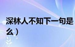 深林人不知下一句是（深林人不知下一句是什么）