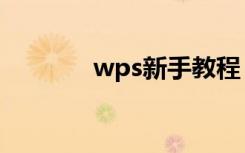 wps新手教程（wps新春版）