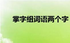 掌字组词语两个字（掌字组词有哪些）