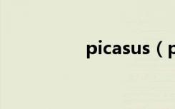 picasus（picasa教程）