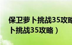 保卫萝卜挑战35攻略通关图文详解（保卫萝卜挑战35攻略）