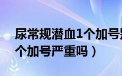 尿常规潜血1个加号别的正常（尿常规潜血1个加号严重吗）