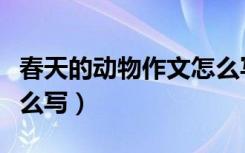 春天的动物作文怎么写（春天里小动物作文怎么写）