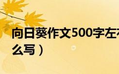 向日葵作文500字左右（向日葵作文500字怎么写）