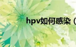 hpv如何感染（hpv如何感染）