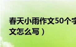 春天小雨作文50个字怎么写（春天的小雨作文怎么写）