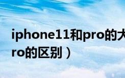 iphone11和pro的大小对比（iphone11和pro的区别）