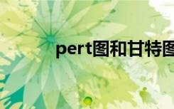 pert图和甘特图区别（pert图）