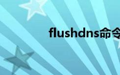 flushdns命令（flushdns）