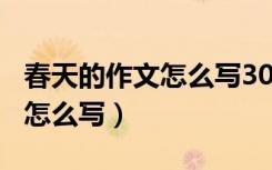 春天的作文怎么写300个字（春天的消息作文怎么写）