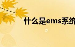 什么是ems系统（什么是EMS）