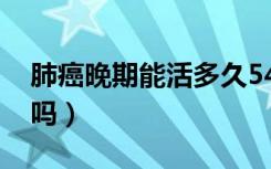 肺癌晚期能活多久54岁（肺癌晚期能活60岁吗）