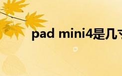 pad mini4是几寸的（pad mini）