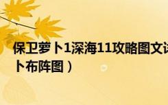 保卫萝卜1深海11攻略图文详解（保卫萝卜深海11攻略金萝卜布阵图）