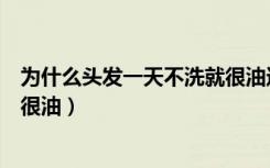 为什么头发一天不洗就很油还脱发（为什么头发一天不洗就很油）