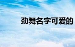 劲舞名字可爱的（劲舞名字大全）