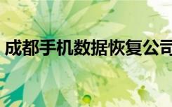 成都手机数据恢复公司（成都数据恢复公司）