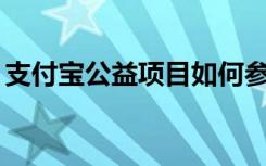 支付宝公益项目如何参加（支付宝95公益周）