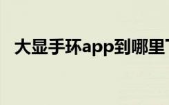 大显手环app到哪里下载（大显手机大全）