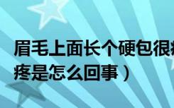 眉毛上面长个硬包很痛（眉毛上长了个硬包很疼是怎么回事）