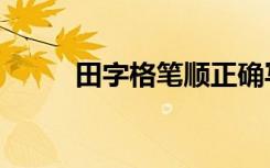 田字格笔顺正确写法图（田字格）