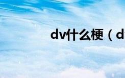 dv什么梗（dv什么品牌好）