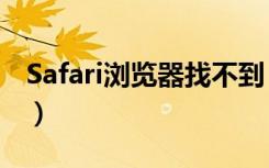 Safari浏览器找不到（safari地址栏无法搜索）