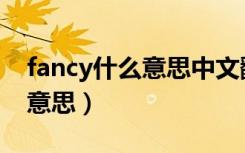 fancy什么意思中文翻译怎么读（fancy什么意思）