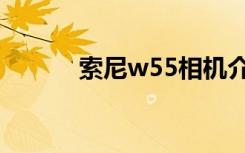 索尼w55相机介绍（索尼w55）