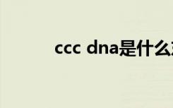 ccc dna是什么东西（ccc exe）