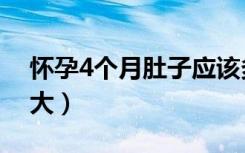 怀孕4个月肚子应该多大（怀孕4个月肚子多大）