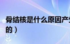 骨结核是什么原因产生的（骨结核是什么导致的）